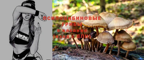 apvp Пестово