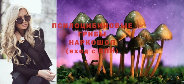 apvp Пестово