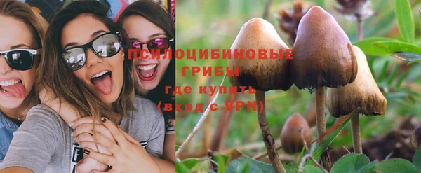 экстази Пересвет