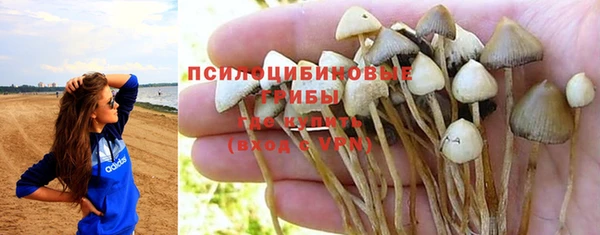 apvp Пестово