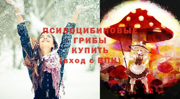 экстази Пересвет